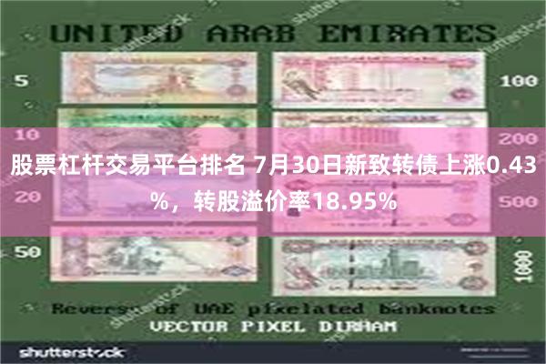 股票杠杆交易平台排名 7月30日新致转债上涨0.43%，转股溢价率18.95%