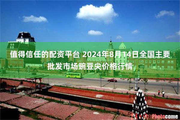 值得信任的配资平台 2024年8月14日全国主要批发市场豌豆尖价格行情