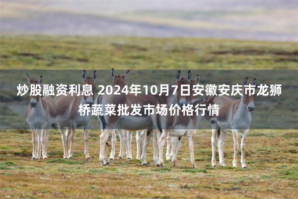 炒股融资利息 2024年10月7日安徽安庆市龙狮桥蔬菜批发市场价格行情