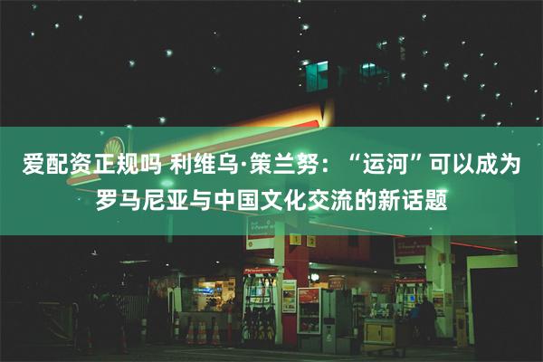 爱配资正规吗 利维乌·策兰努：“运河”可以成为罗马尼亚与中国文化交流的新话题