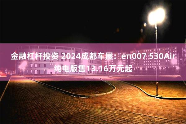 金融杠杆投资 2024成都车展：eπ007 530Air纯电版售13.16万元起