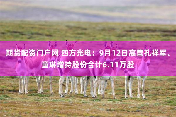 期货配资门户网 四方光电：9月12日高管孔祥军、童琳增持股份合计6.11万股