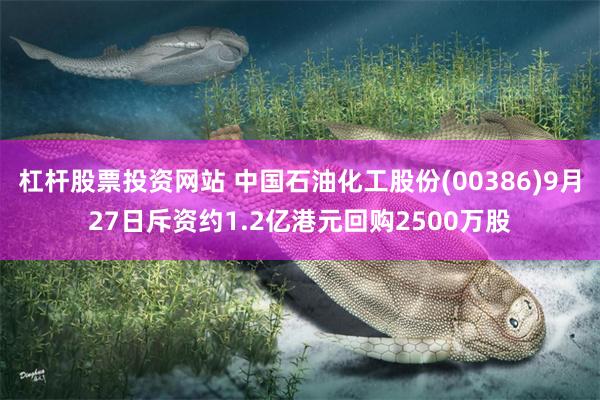 杠杆股票投资网站 中国石油化工股份(00386)9月27日斥资约1.2亿港元回购2500万股