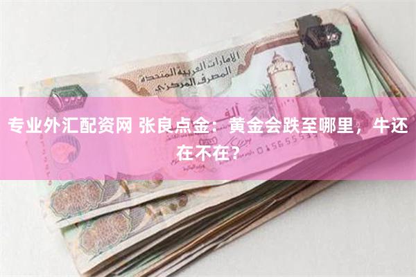 专业外汇配资网 张良点金：黄金会跌至哪里，牛还在不在？