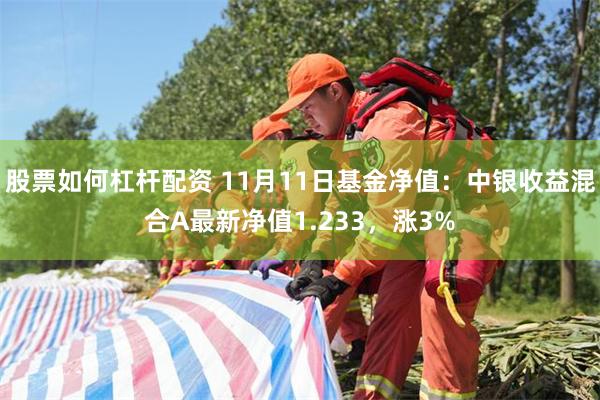 股票如何杠杆配资 11月11日基金净值：中银收益混合A最新净值1.233，涨3%