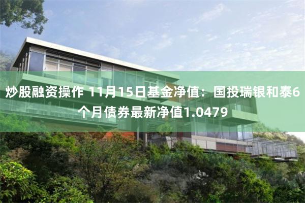 炒股融资操作 11月15日基金净值：国投瑞银和泰6个月债券最新净值1.0479