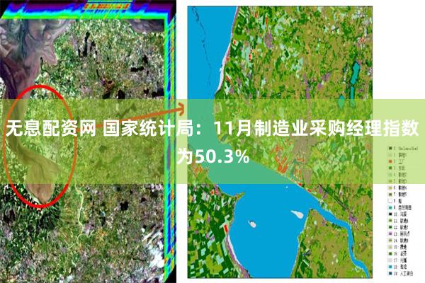 无息配资网 国家统计局：11月制造业采购经理指数为50.3%