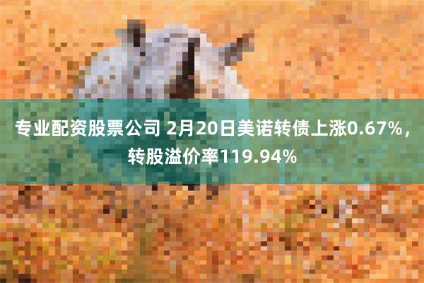 专业配资股票公司 2月20日美诺转债上涨0.67%，转股溢价率119.94%