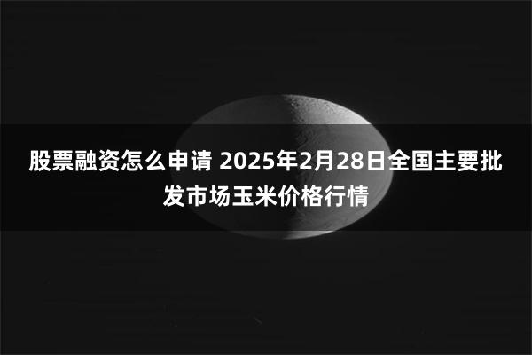 股票融资怎么申请 2025年2月28日全国主要批发市场玉米价格行情