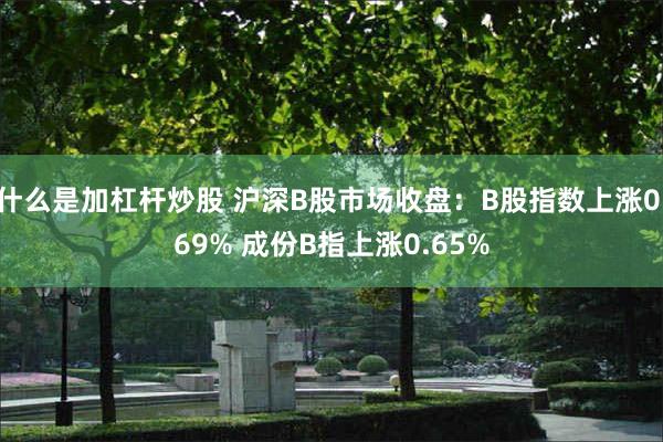 什么是加杠杆炒股 沪深B股市场收盘：B股指数上涨0.69% 成份B指上涨0.65%